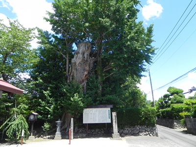 神社境界