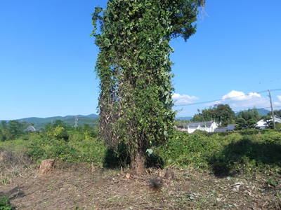 池田境界