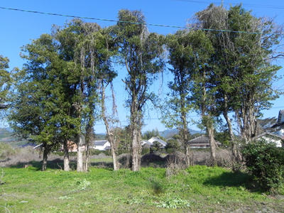 池田境界