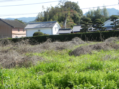 池田境界