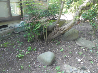 写真