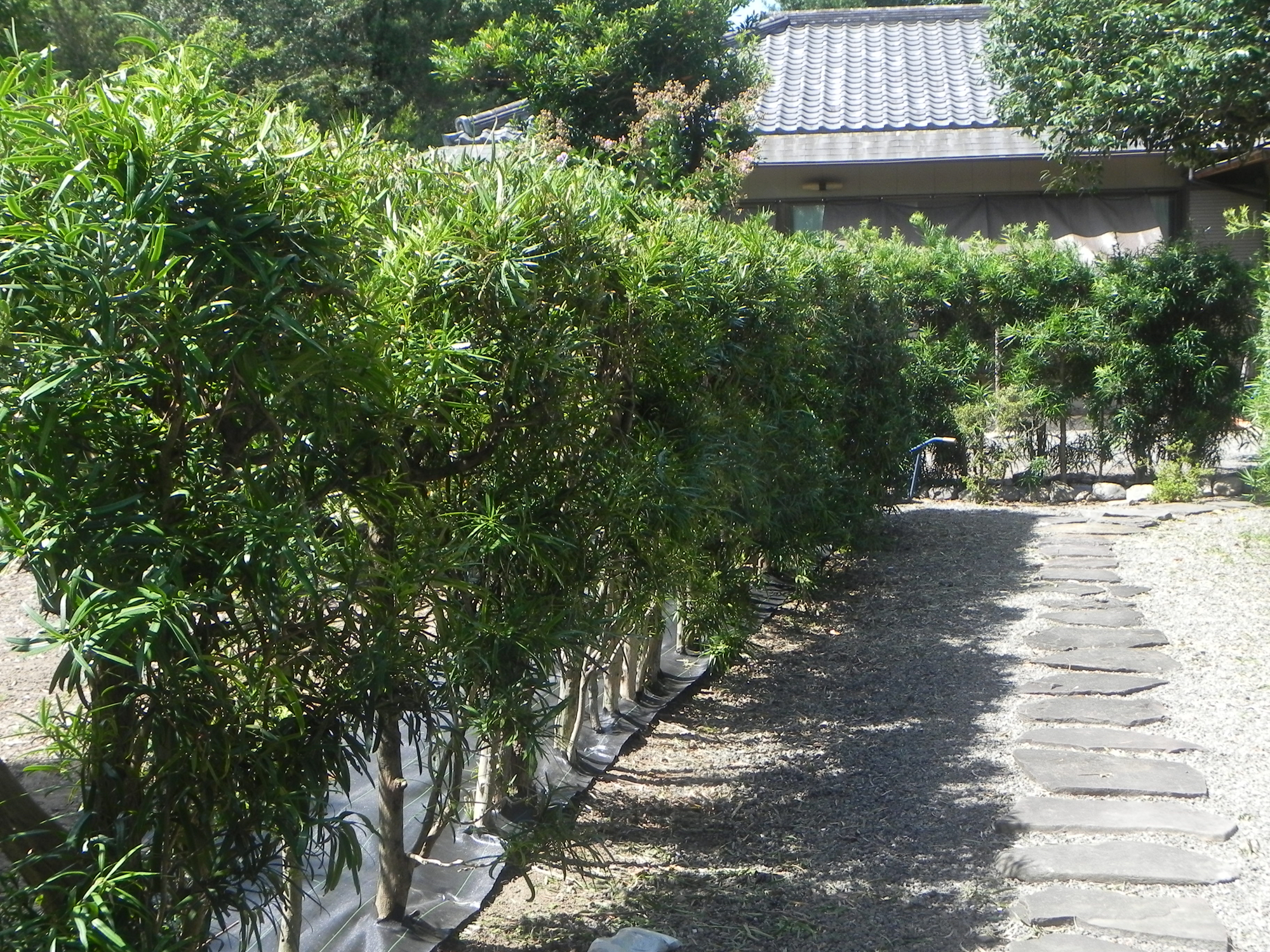 250709-r08-2025080205