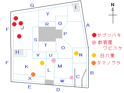 樹木の位置